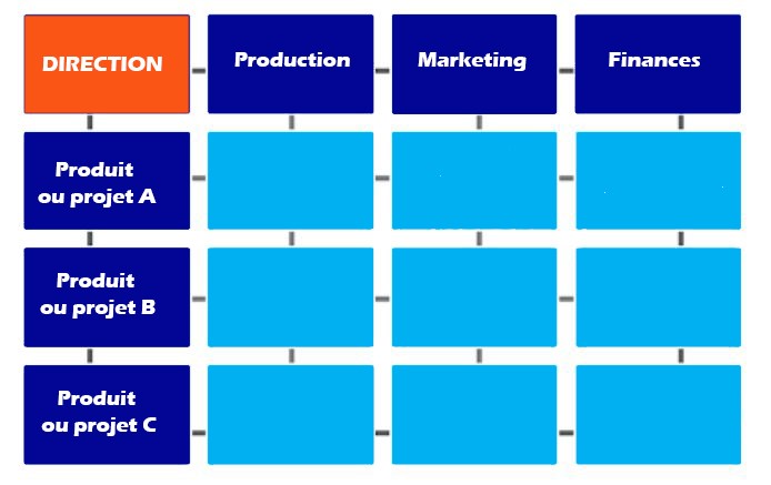 structure organisationnelle matricielle